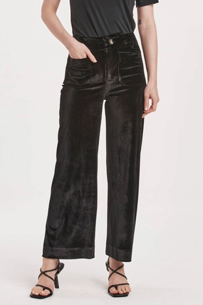 Anahi Velvet Pants In Black womens trousers outlet
