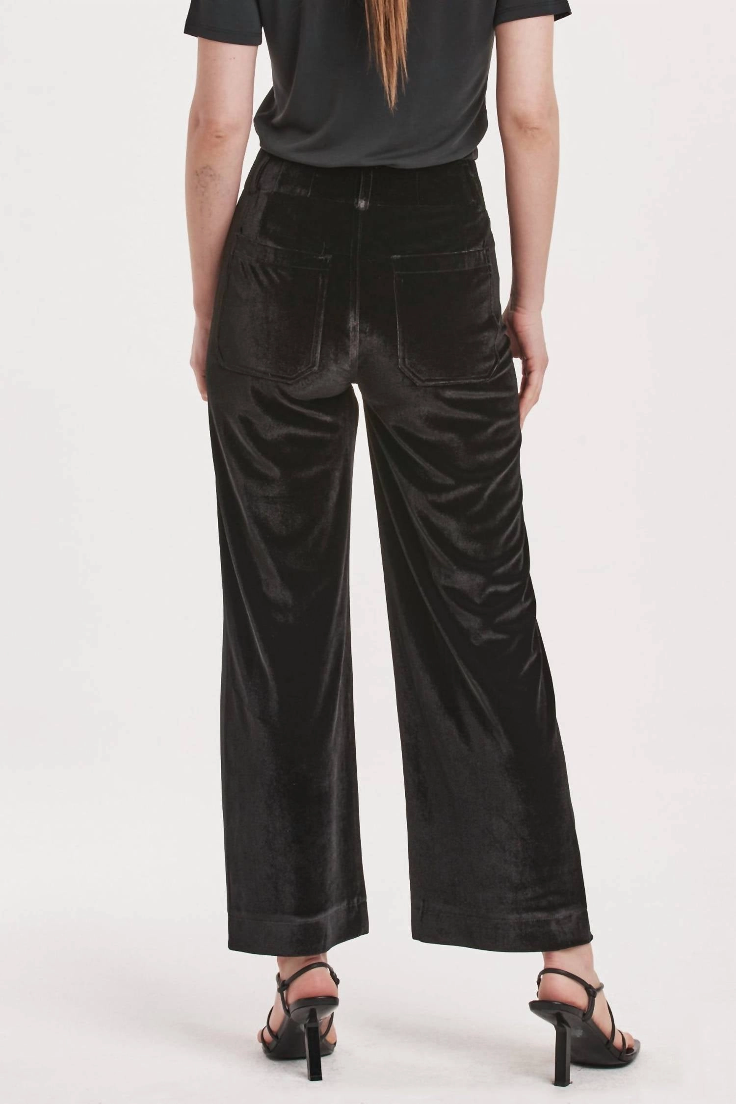 Anahi Velvet Pants In Black