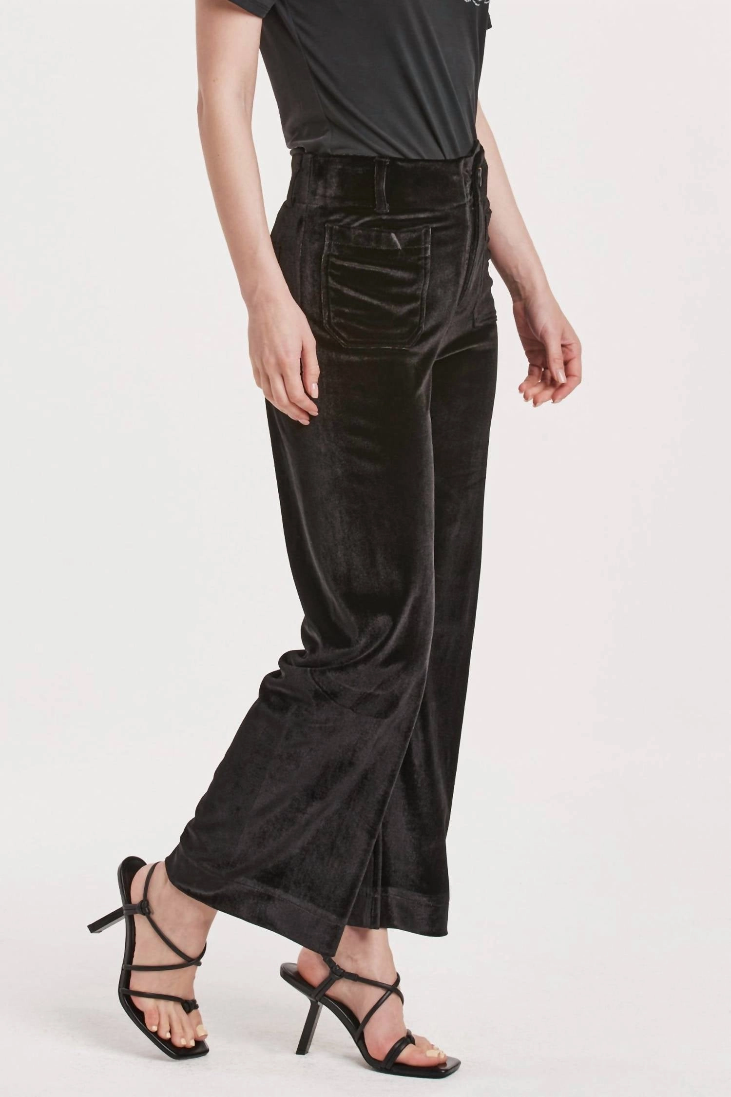 Anahi Velvet Pants In Black