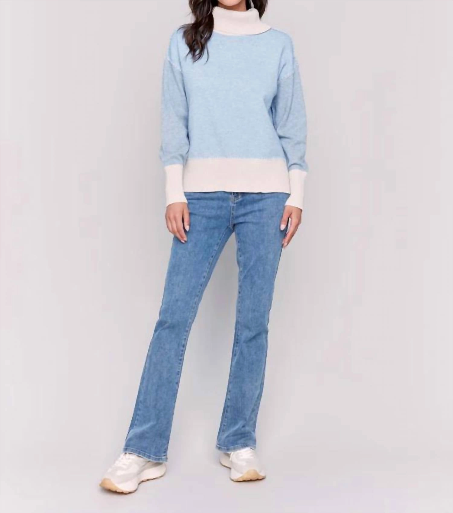 Color Block Turle Neck Sweater In Frost