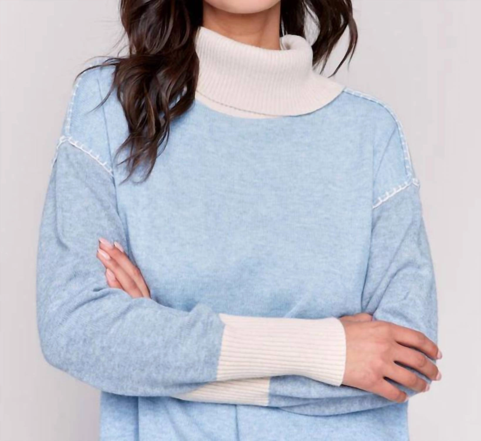 Color Block Turle Neck Sweater In Frost