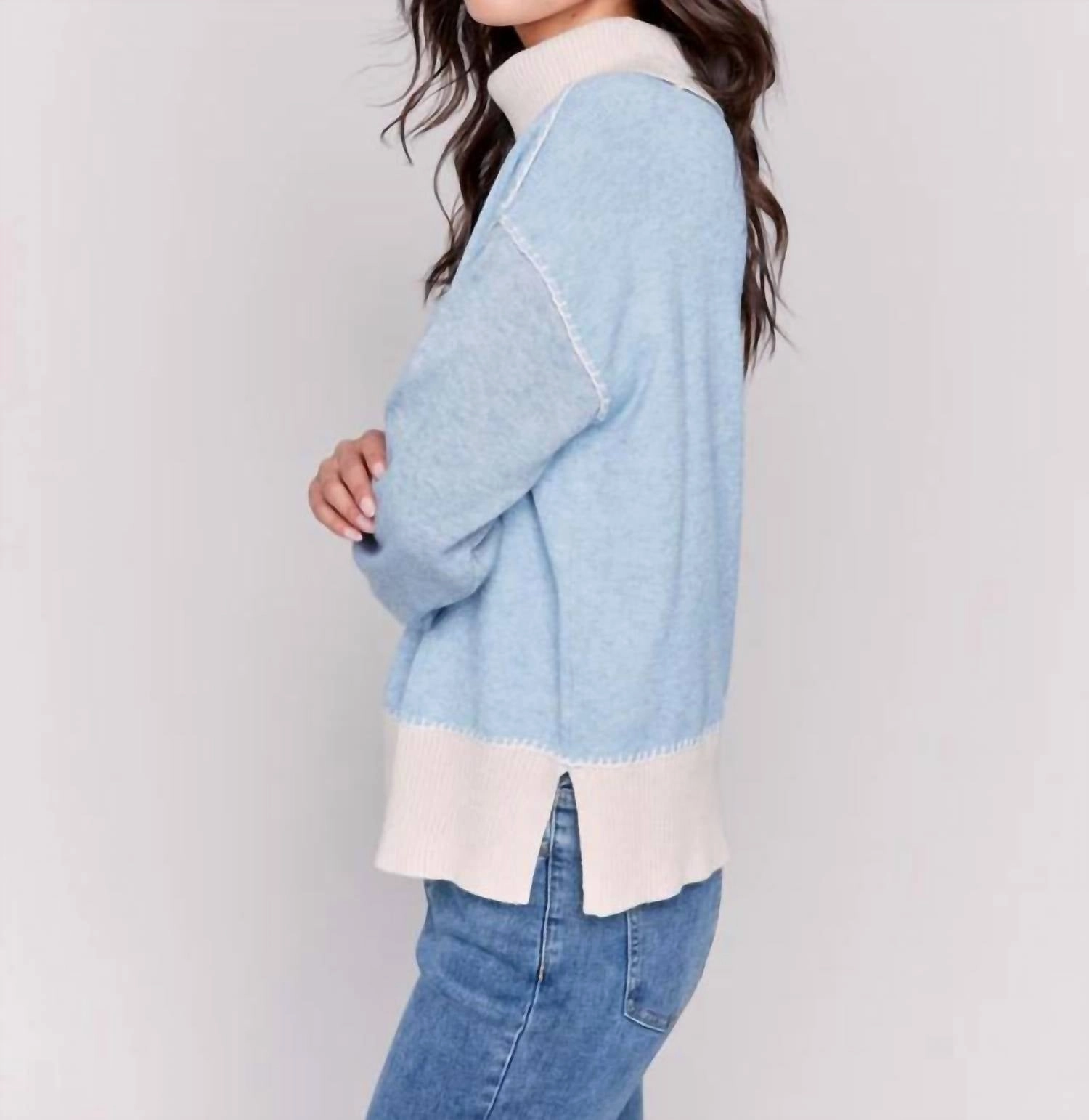 Color Block Turle Neck Sweater In Frost
