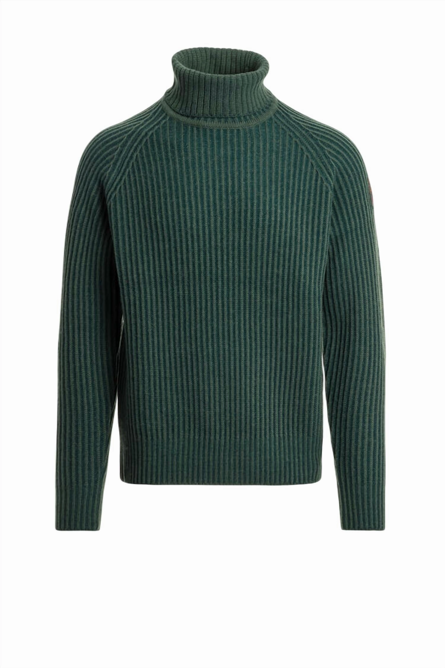 Ettore Turtle Neck Sweater Top In Green Gable