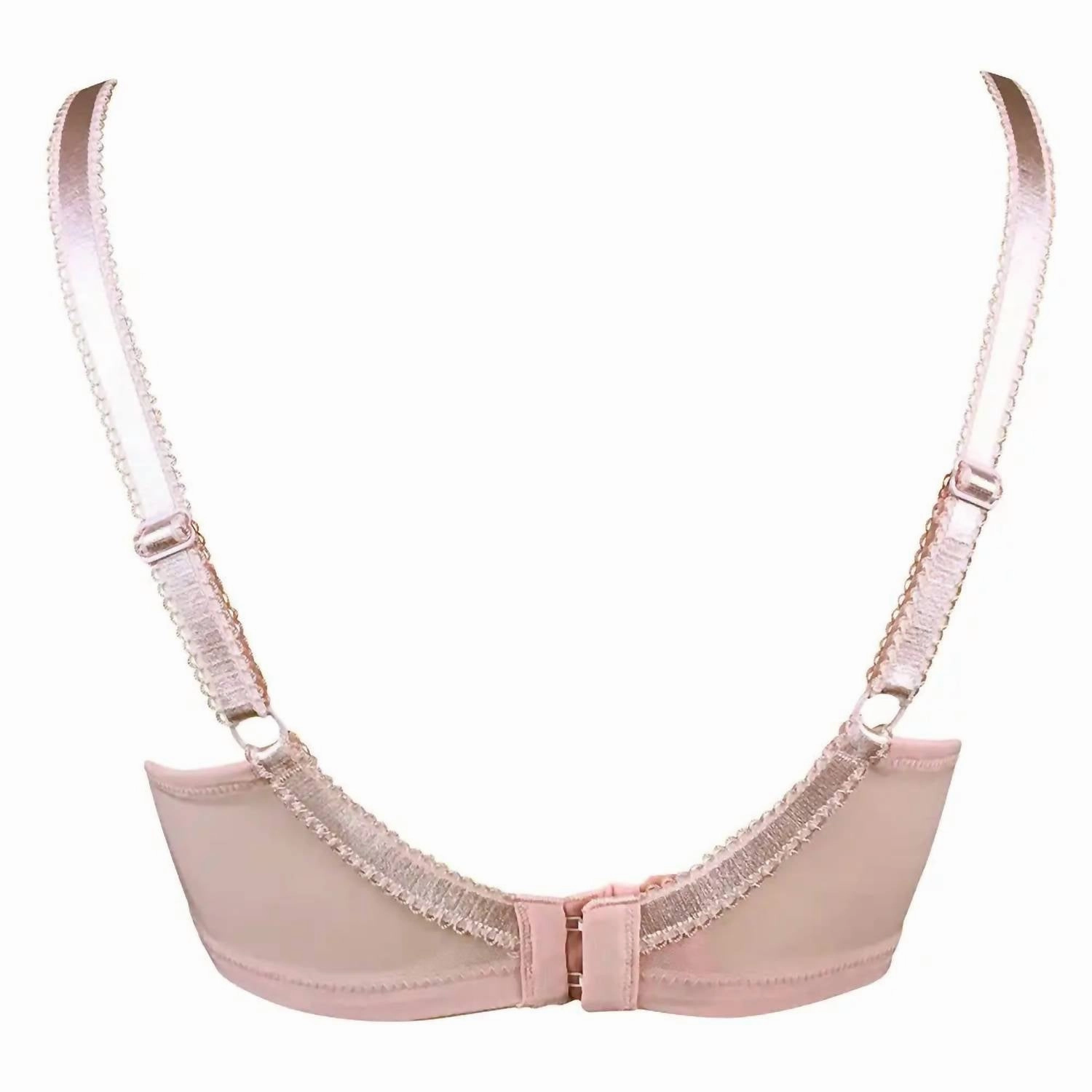 Imogen Rose Embroidered Full Cup Bra In Latte