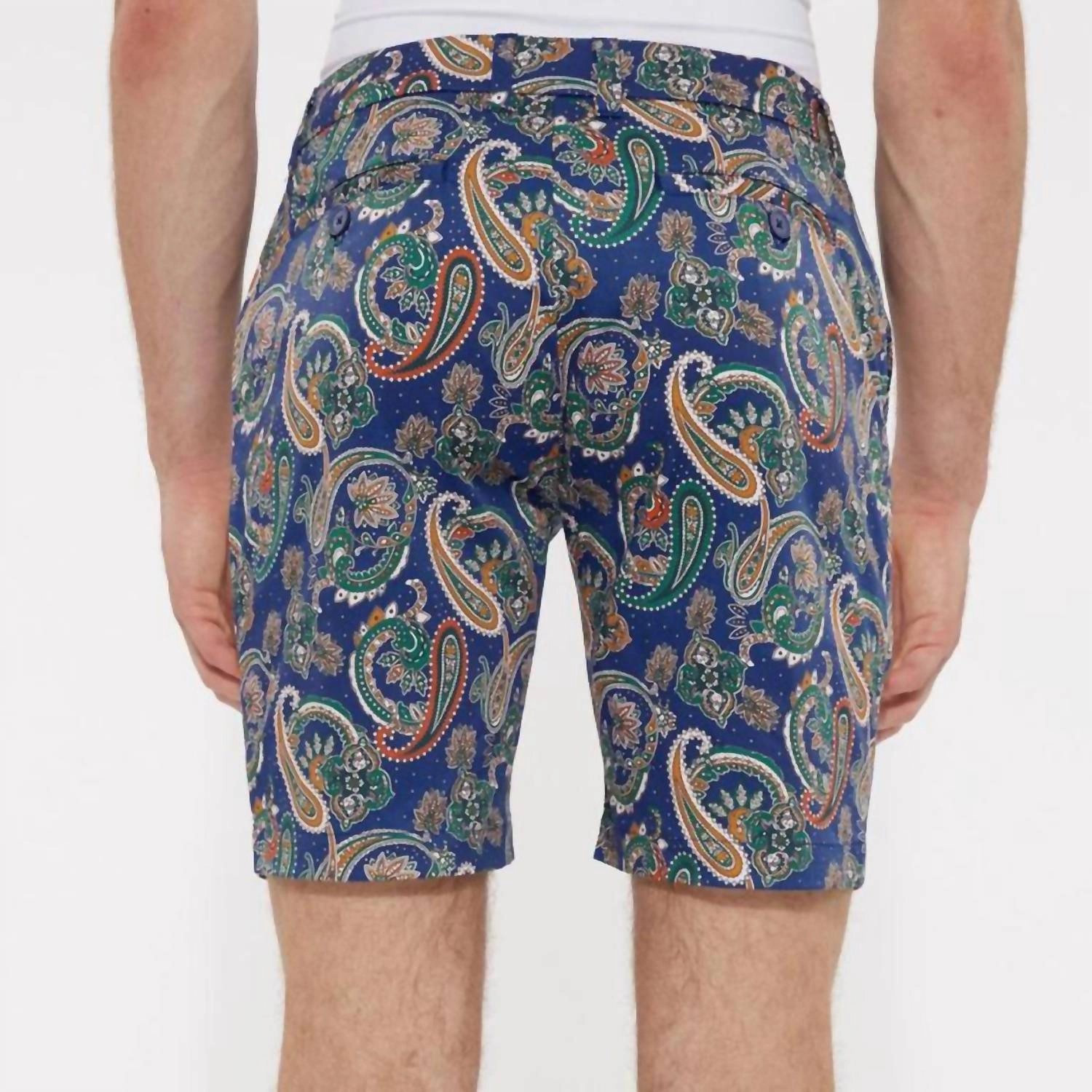 Men's Paisley Woven Printed Shorts In Royal/spice
