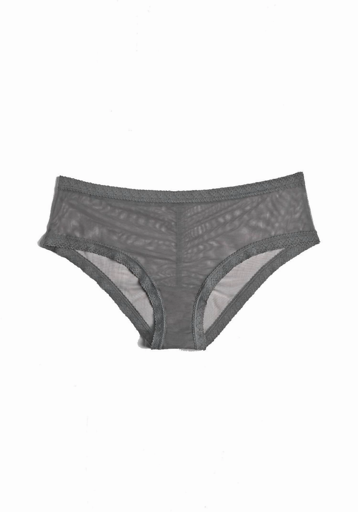 Mesh Lace Trim Hipster Panty In Lunar