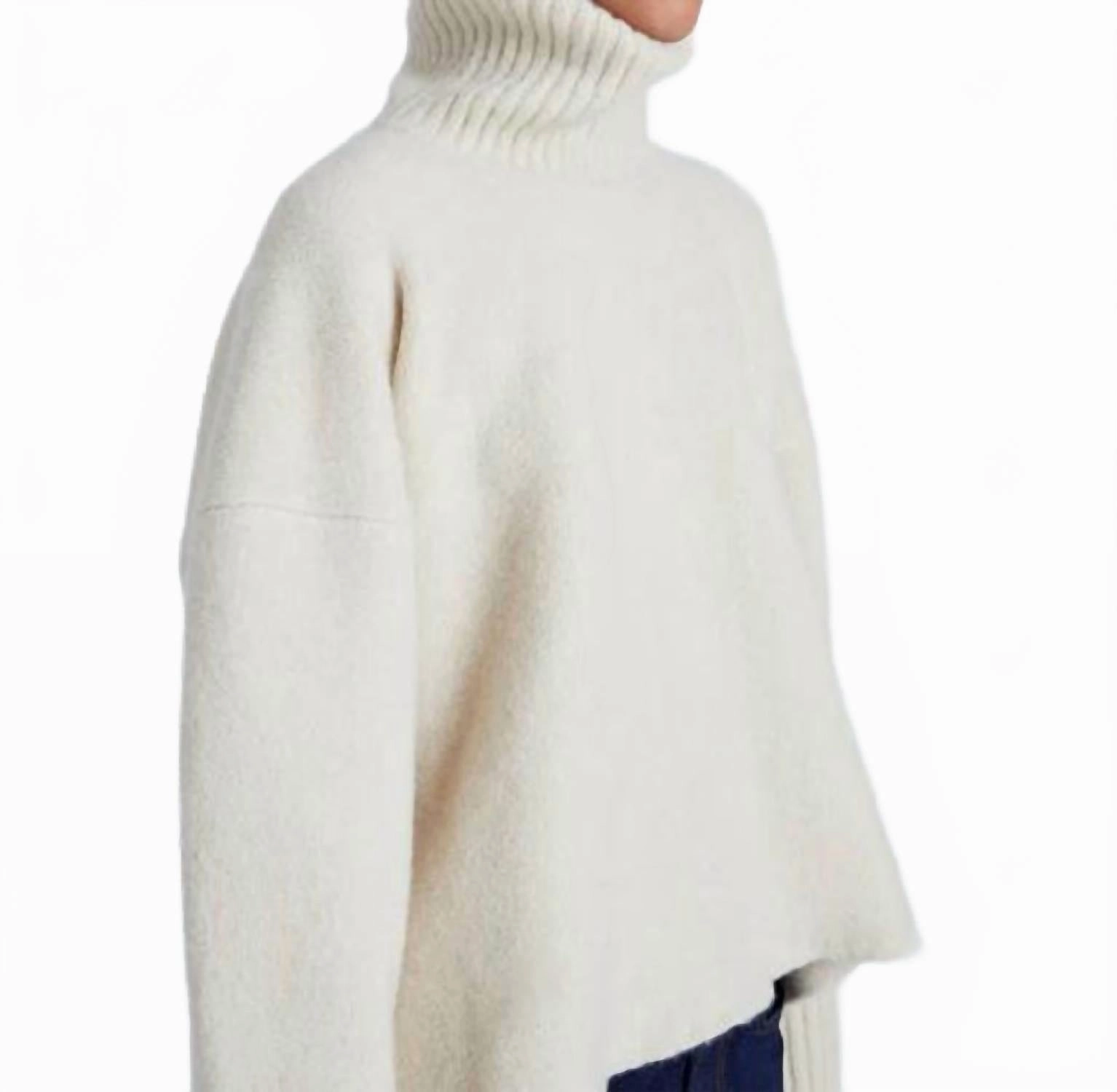 Sandra Turtleneck Sweater In Ecru