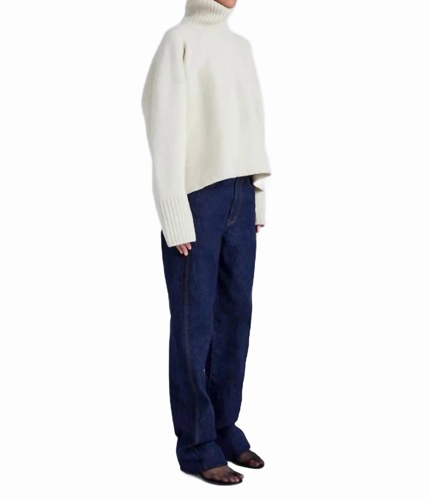 Sandra Turtleneck Sweater In Ecru