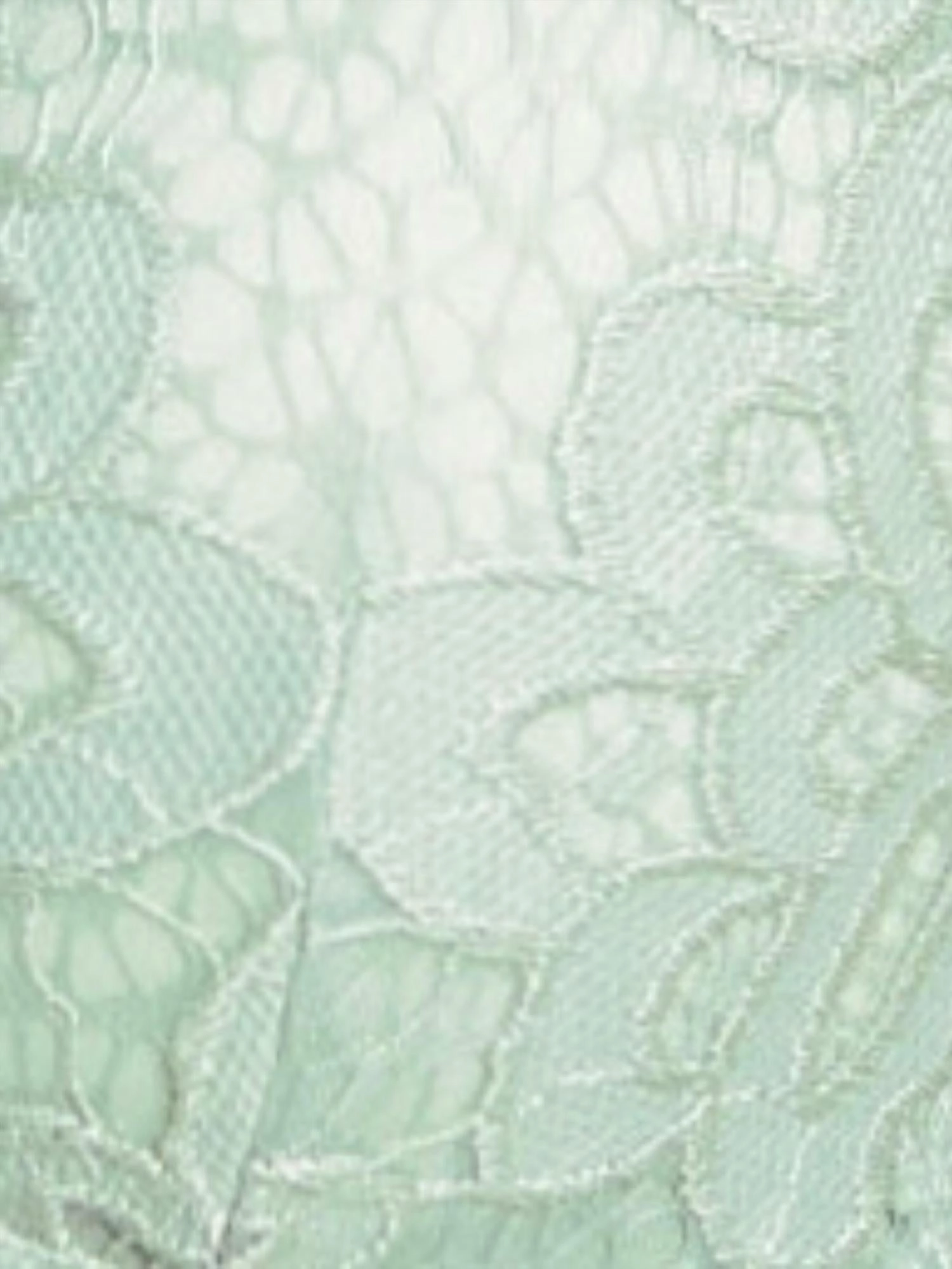 Scalloped Latice Bralette In Sage