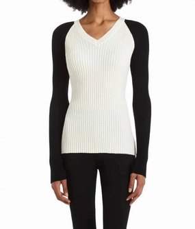 Scout Sweater In Ivory With Black Tops Womens - high-neck blouses