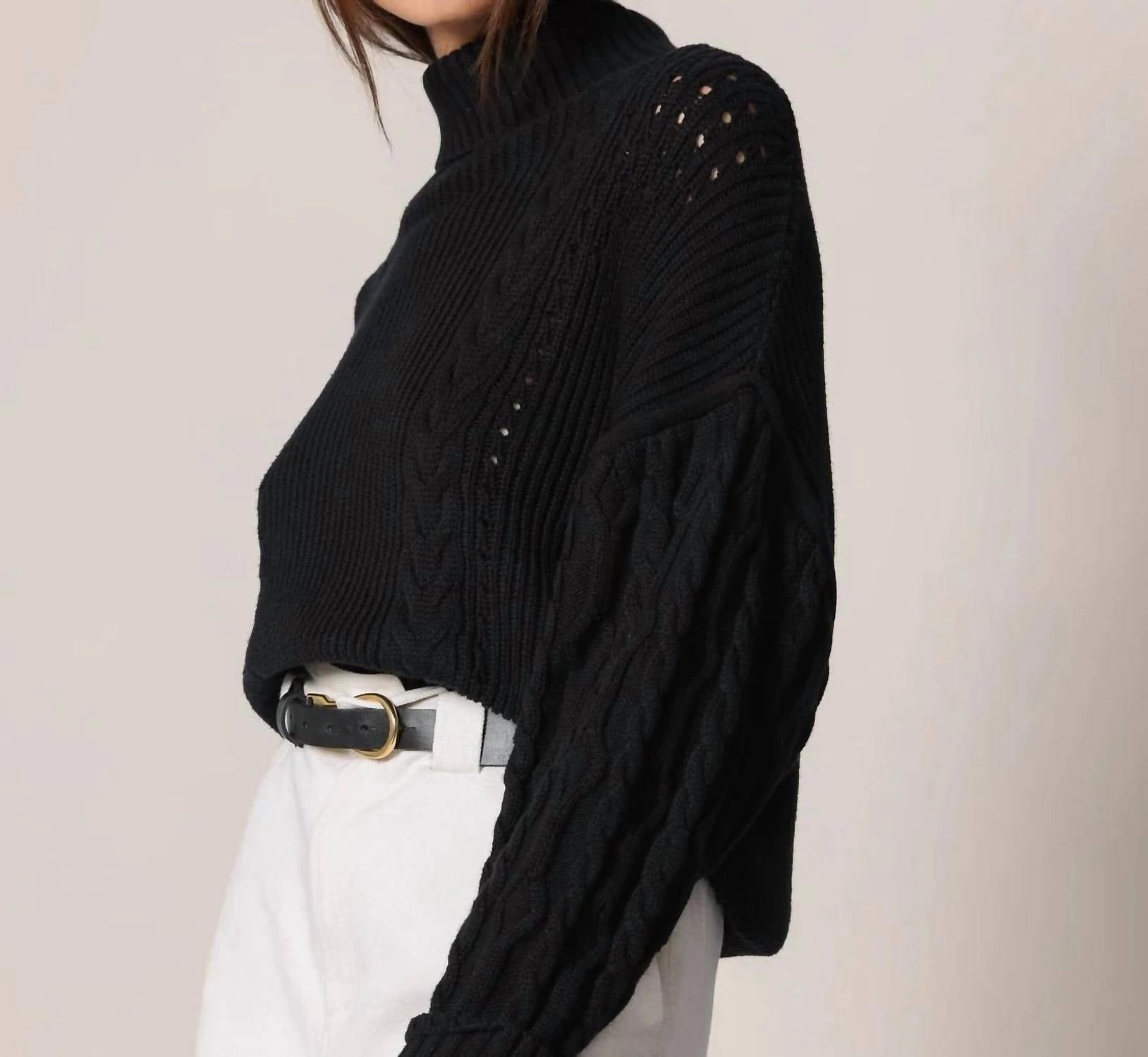 Serah Turtleneck Sweater In Black