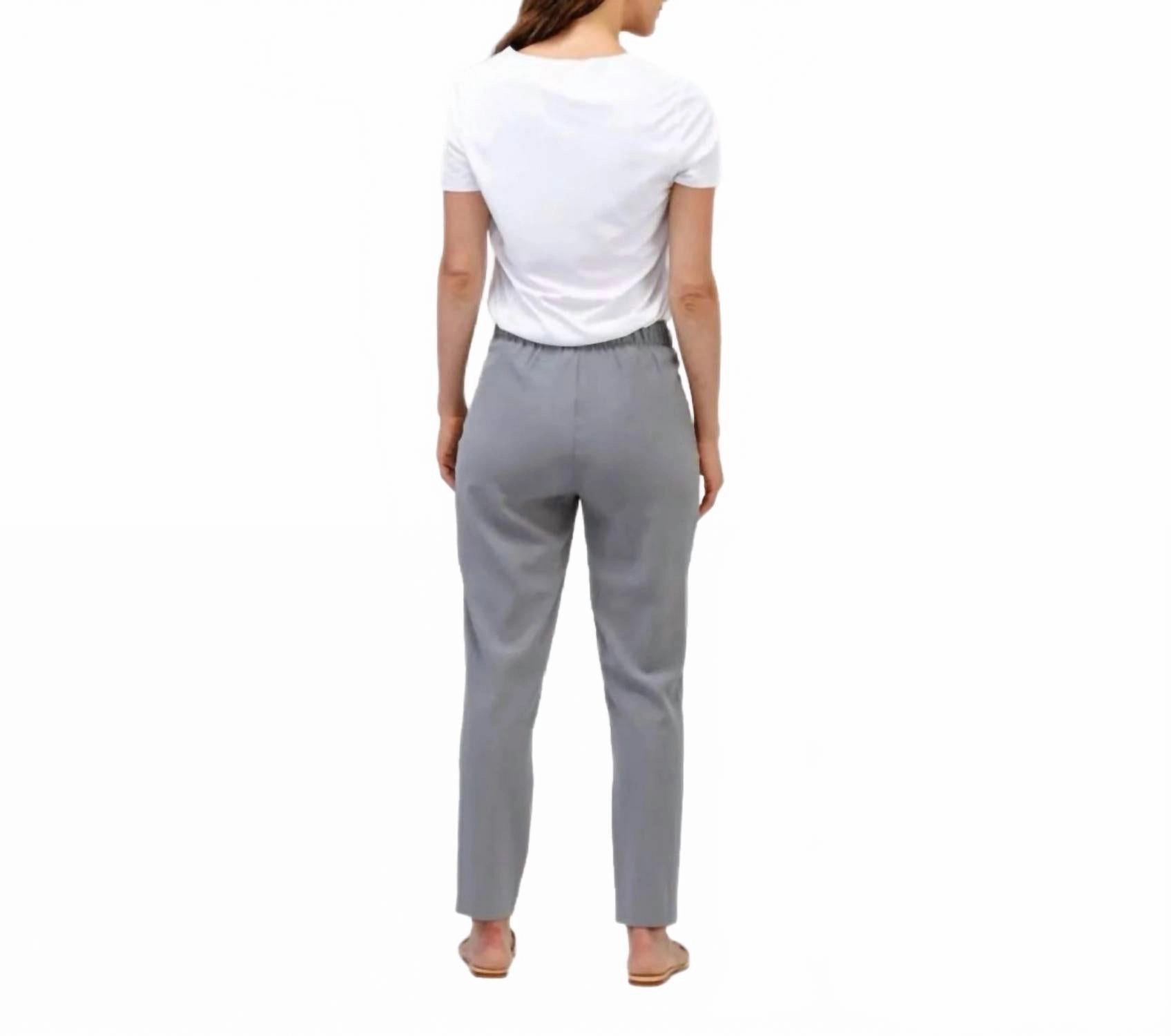 Swift Drape Pants In Gray