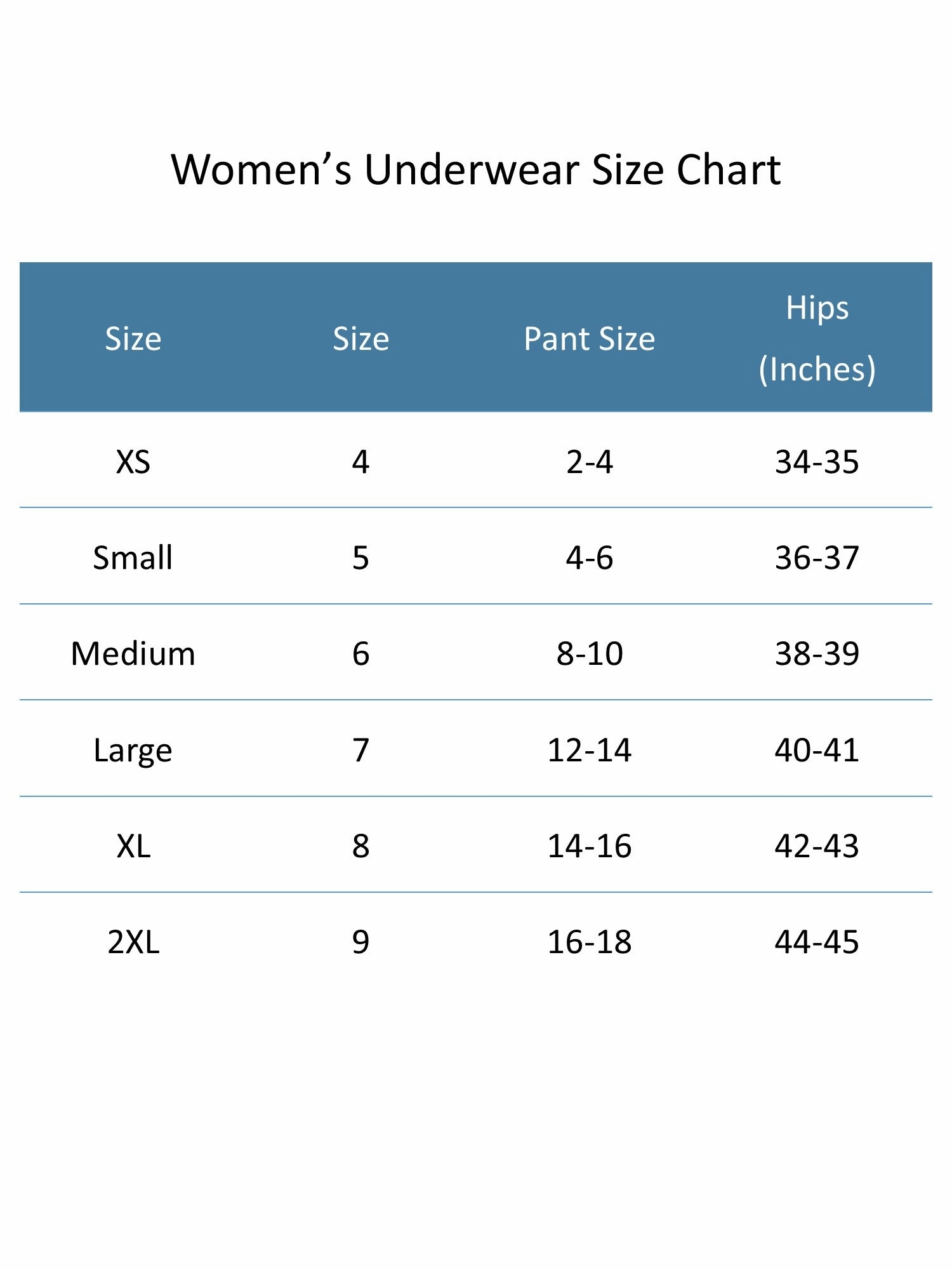 Women's Microfiber Brief Underwear (6 Pack)