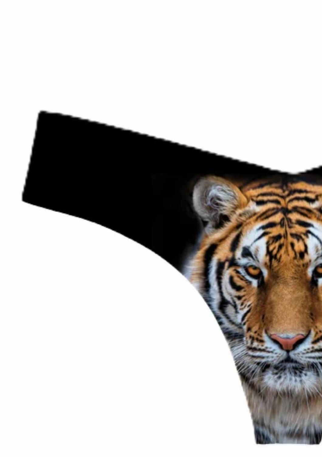 Women's Photo Op Thong Panty In Orange Tiger